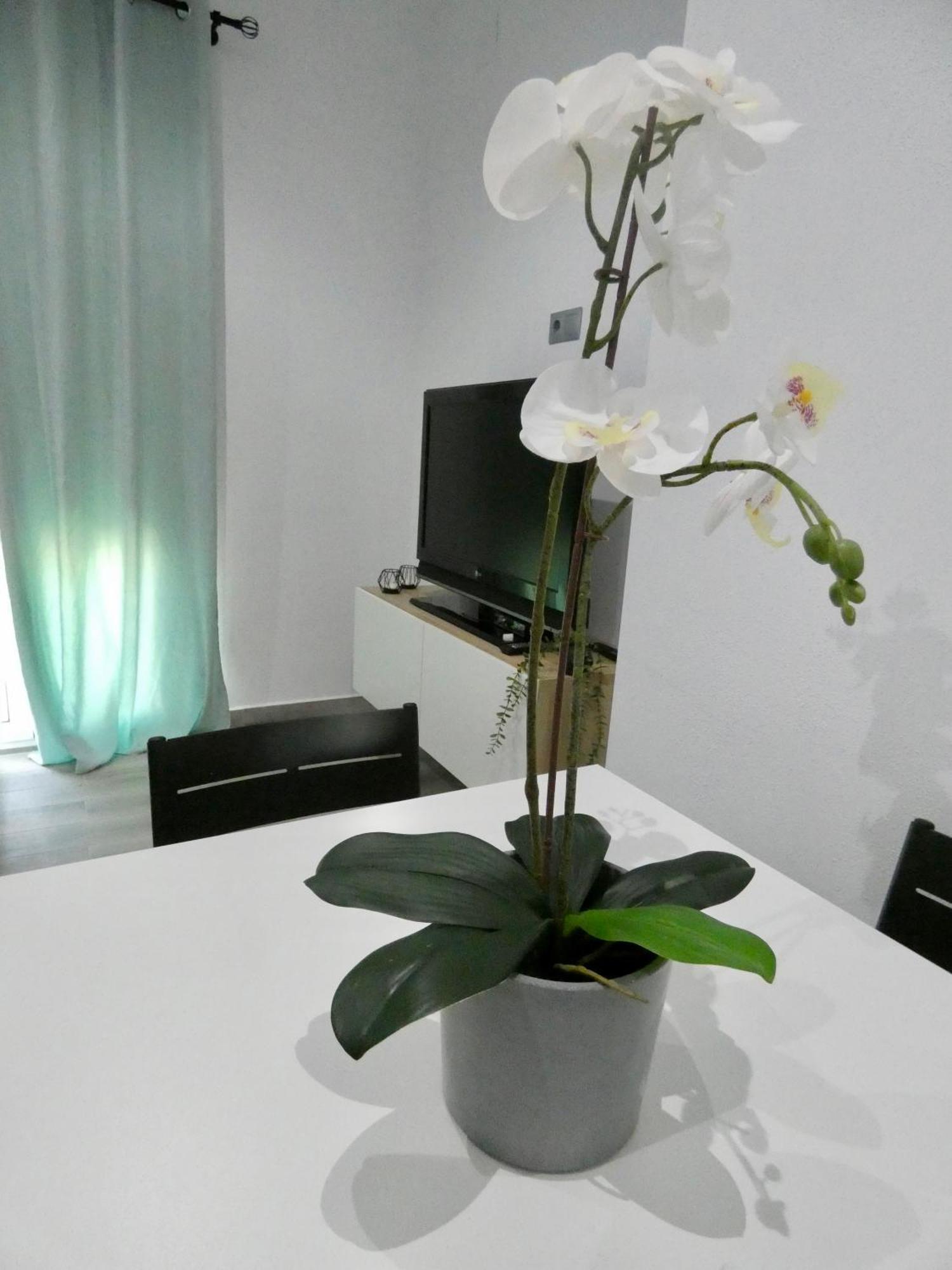 Casa Monturrio Apartman Moguer Kültér fotó